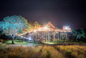  Pezulu Tree House Lodge  Hoedspruit